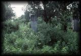 Confucius temple, Kung family graveyard 4.jpg 5.1K