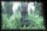 Confucius temple, Kung family graveyard 5.jpg 5.3K