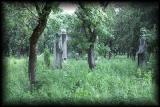 Confucius temple, Kung family graveyard 6.jpg 5.3K