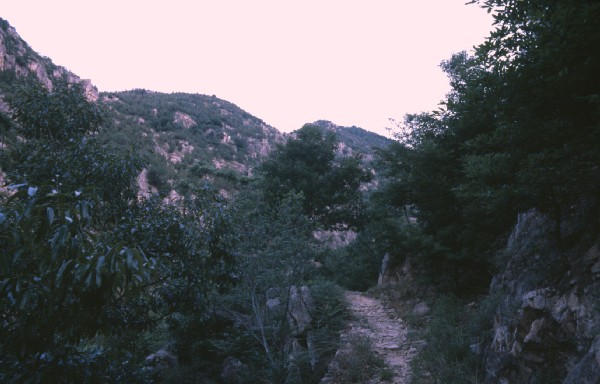 taishan001.jpg 54.5K