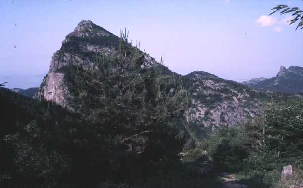 taishan004.jpg 51.3K