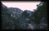 taishan001.jpg 3.4K