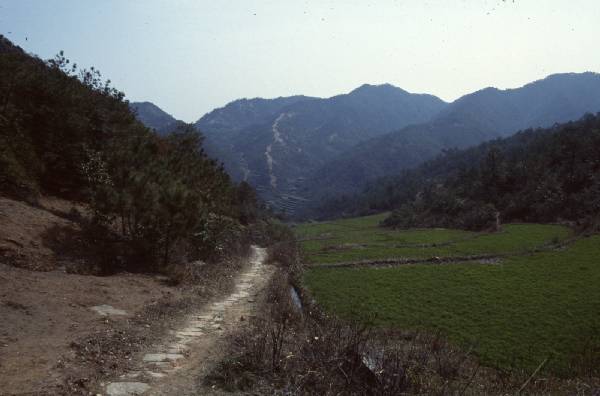 t'ien t'ai trip trail 005.jpg 26.1K