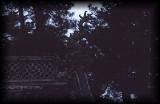 t'ien t'ai trip hill shrine 03.jpg 3.3K