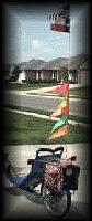 GST_flags_in_breeze.jpg 5.2K