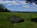 Click to see P6300863s.jpg