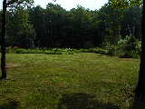 Click to see P7051317.jpg