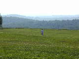 Click to see P7011068.jpg