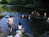 Click to see P7041293.jpg