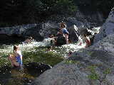 Click to see P7041295.jpg