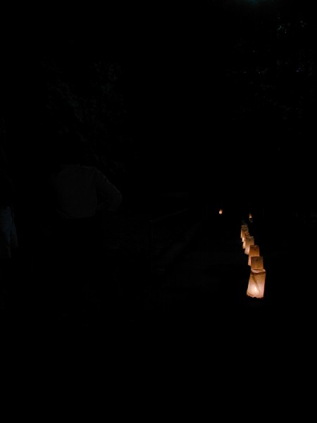 p7298454.jpg 7.6K
