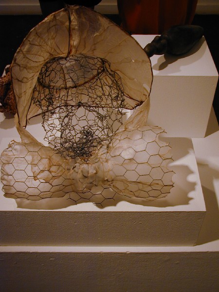 p7287650.jpg 71.9K