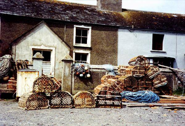 FISHING TRAPS SMALLER.jpg 69.1K