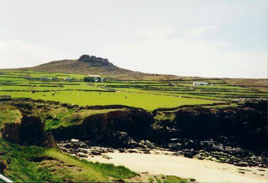 IRELAND, COASTAL FIELDS.jpg 30.3K
