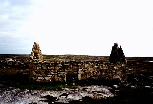 IRISH HOUSE, AFTER THE FAMINE.jpg 30.9K