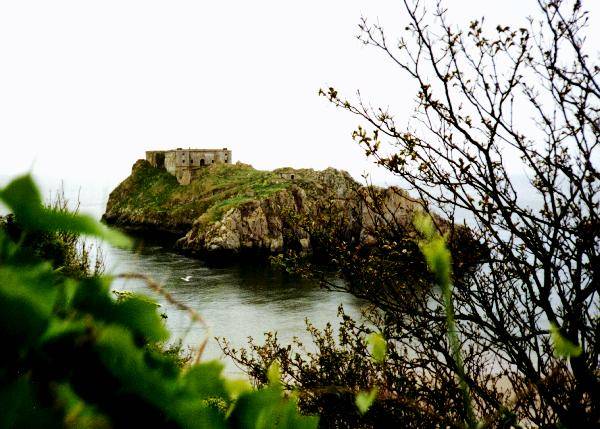 ISLAND OFF COAST OF WALES SMALLER.jpg 55.7K