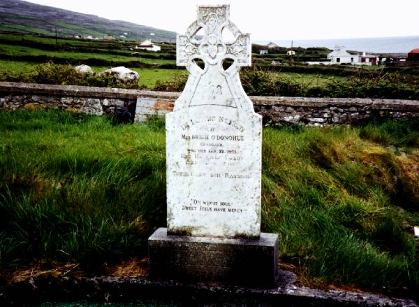 ODONAHUE GRAVE.jpg 52.3K