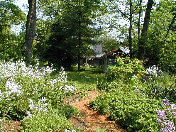 Kelly's garden and house.jpg 99.5K