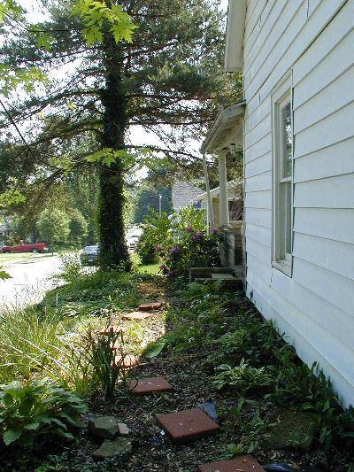 Kelly's house looking east 3.jpg 63.6K
