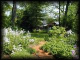 Kelly's garden and house.jpg 7.3K