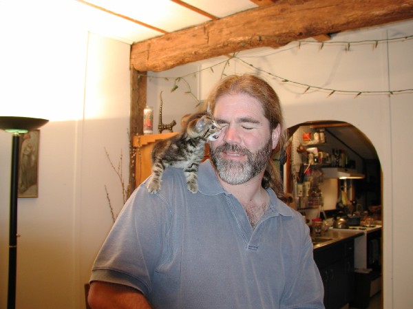 kittens200111005.jpg 53.1K