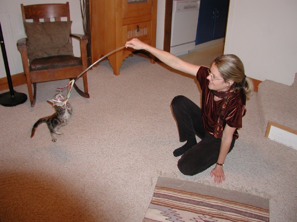 kittens200112005.jpg 68.9K