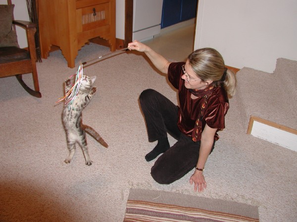 kittens200112006.jpg 71.1K
