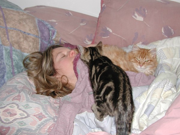 kittens200201006.jpg 69.8K