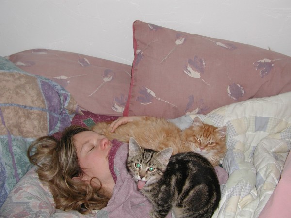 kittens200201007.jpg 57.2K