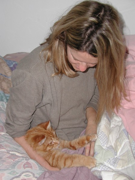 kittens200201011.jpg 63.8K