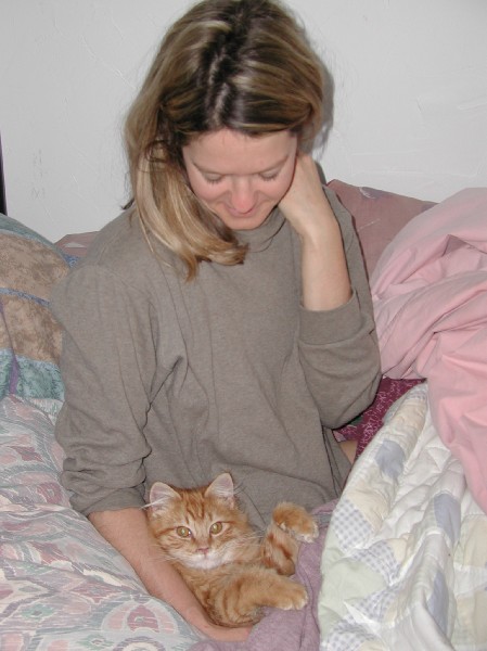 kittens200201012.jpg 56.4K