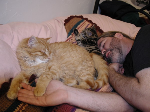 kittens200201020.jpg 56.7K