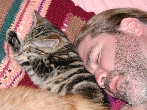 kittens200201021.jpg 95.0K