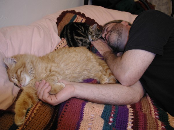kittens200201022.jpg 60.4K
