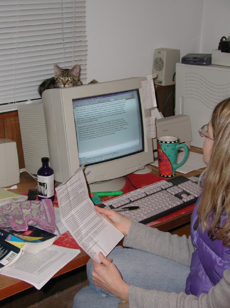 kittens200201028.jpg 67.8K