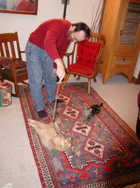 kittens200202015.jpg 94.2K