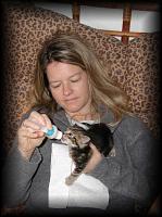 kittens200110005.jpg 7.9K