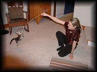 kittens200112005.jpg 6.3K