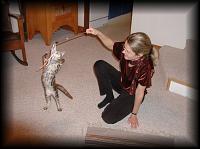 kittens200112006.jpg 6.3K