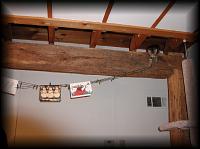 kittens200112010.jpg 6.1K