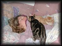 kittens200201006.jpg 7.1K