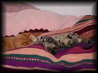 kittens200201019.jpg 7.2K