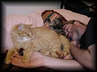 kittens200201020.jpg 6.4K