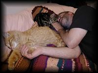kittens200201022.jpg 6.4K