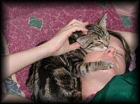 kittens200202010.jpg 7.9K