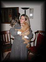 kittens200202012.jpg 6.1K
