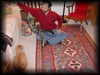 kittens200202014.jpg 8.7K