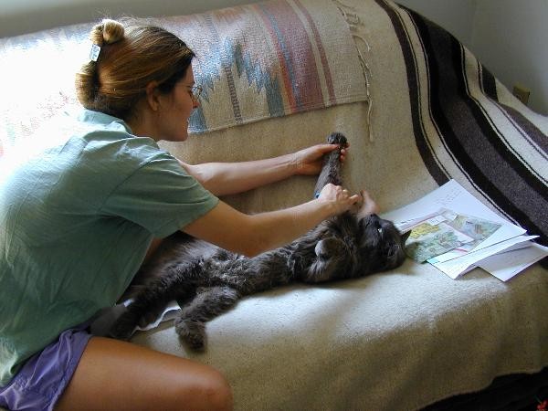 Kelly combs kitty 1.jpg 52.9K
