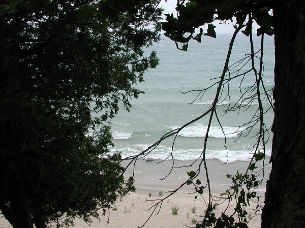 p7217850.jpg 93.2K