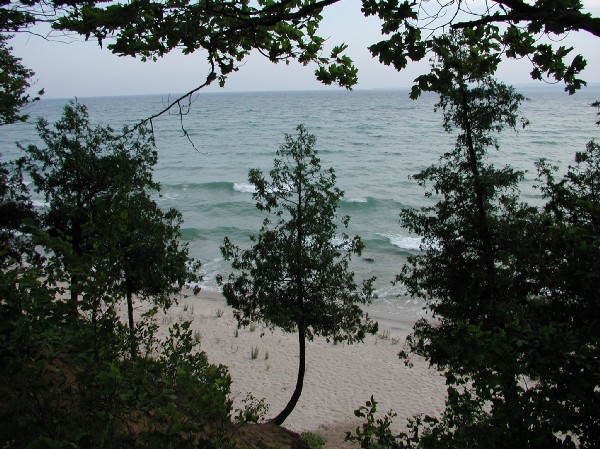 p7217870.jpg 109.6K